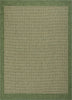Odin Solid & Striped Border Indoor Outdoor Green Flat-Weave Rug
